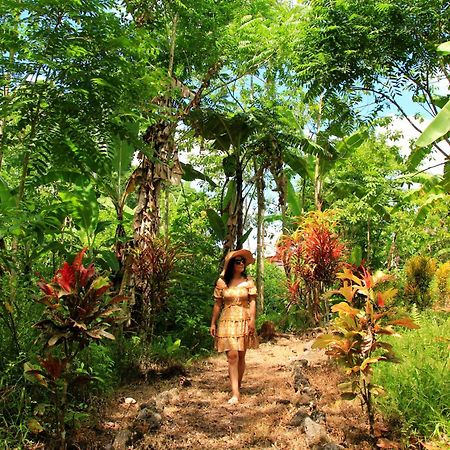 Natura Gardens Galapagos Bellavista  外观 照片