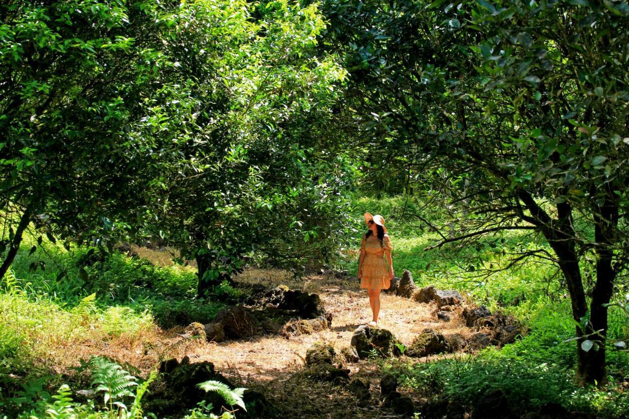 Natura Gardens Galapagos Bellavista  外观 照片