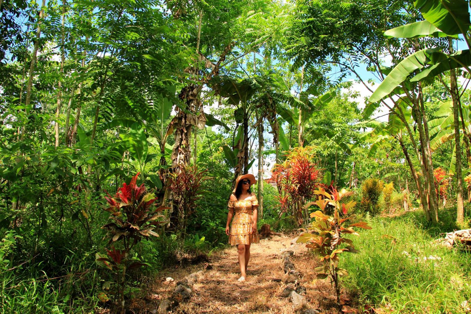 Natura Gardens Galapagos Bellavista  外观 照片